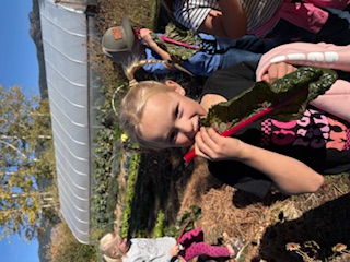 Mrs. Wright's Pumpkin Patch Field Trip