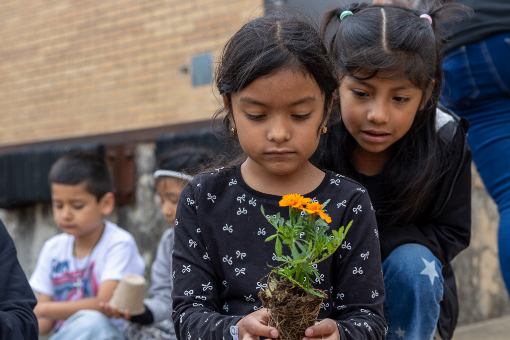 2 female students looking at the plant