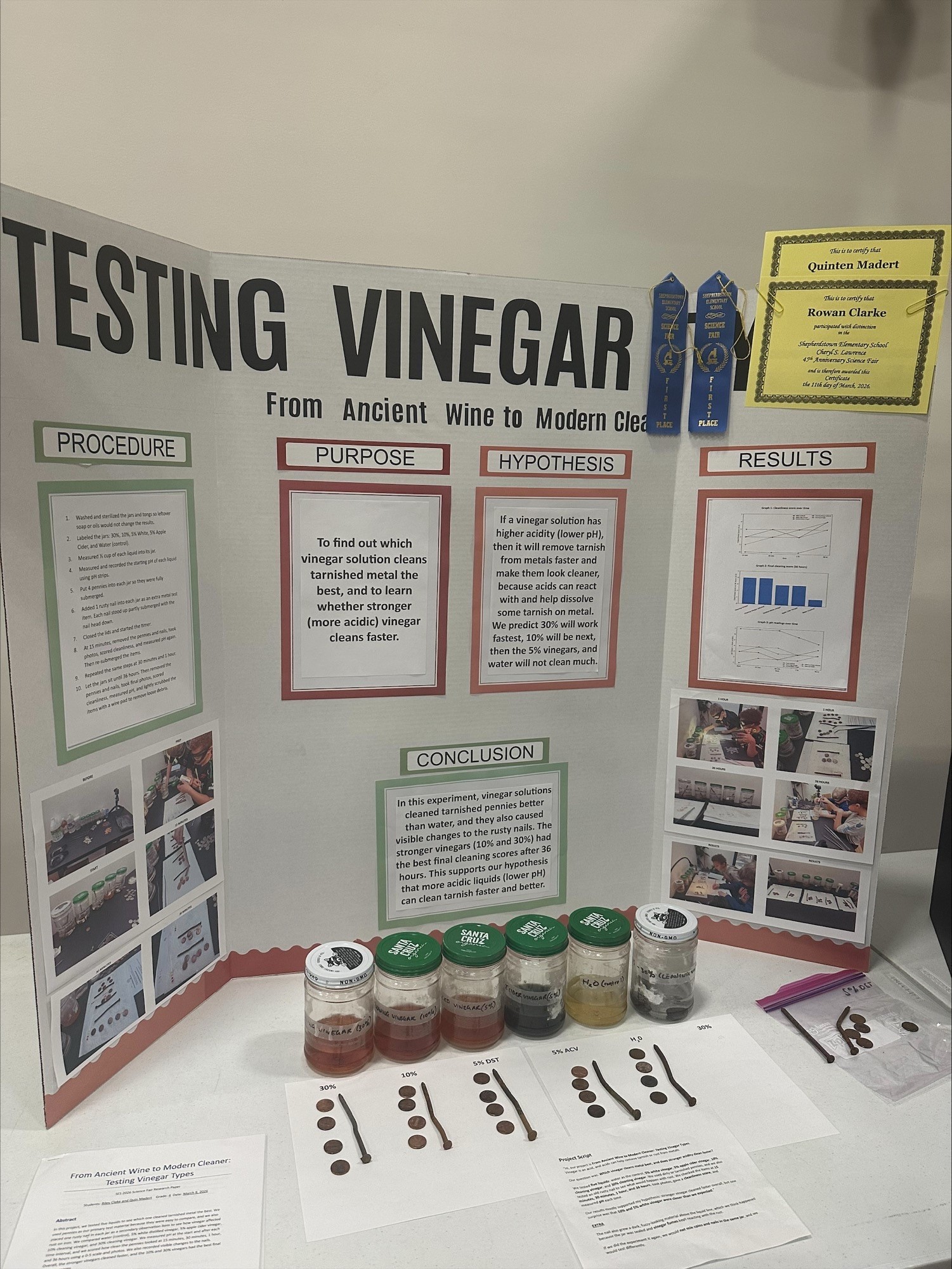 science fair project