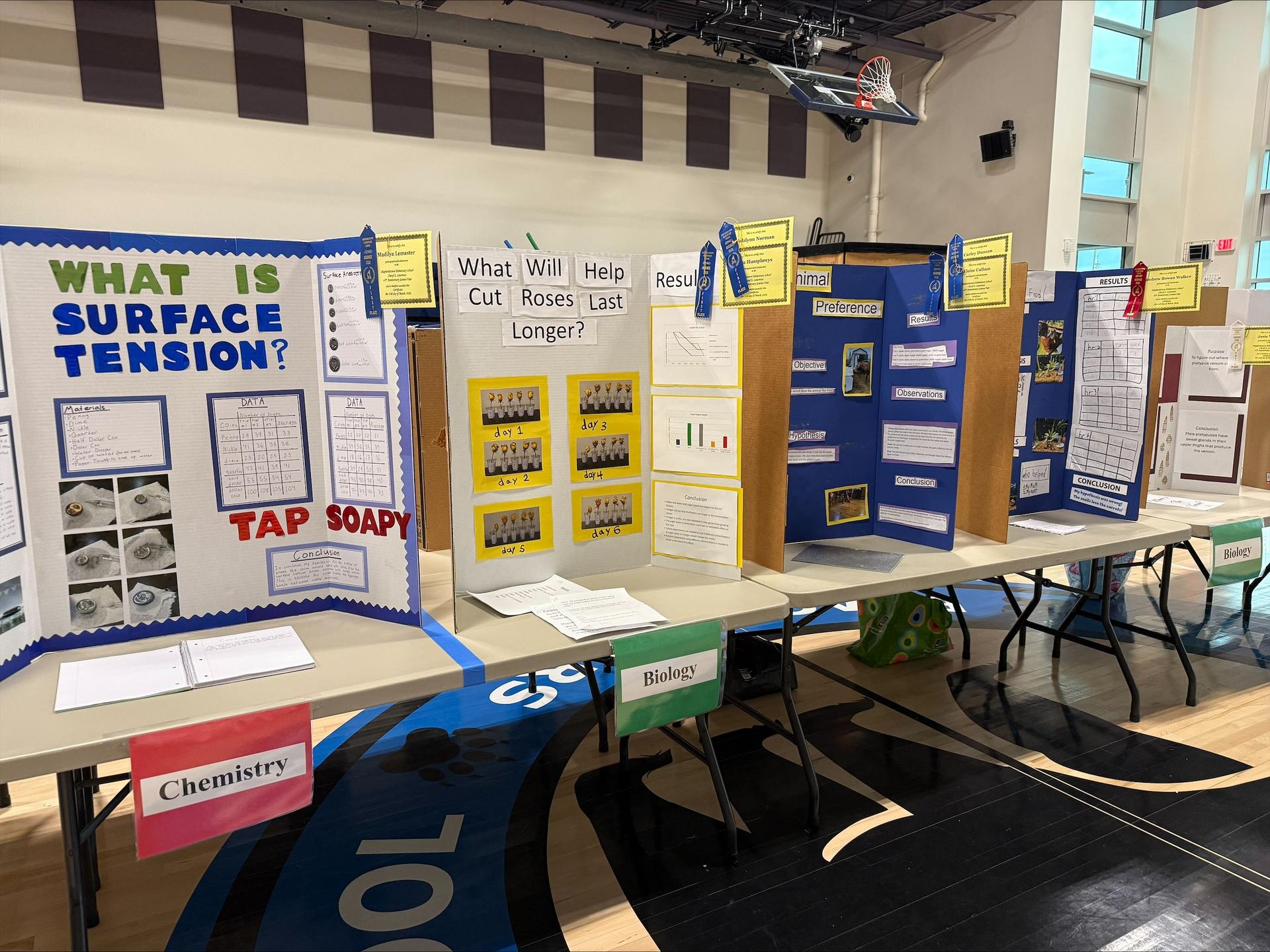 science fair projects