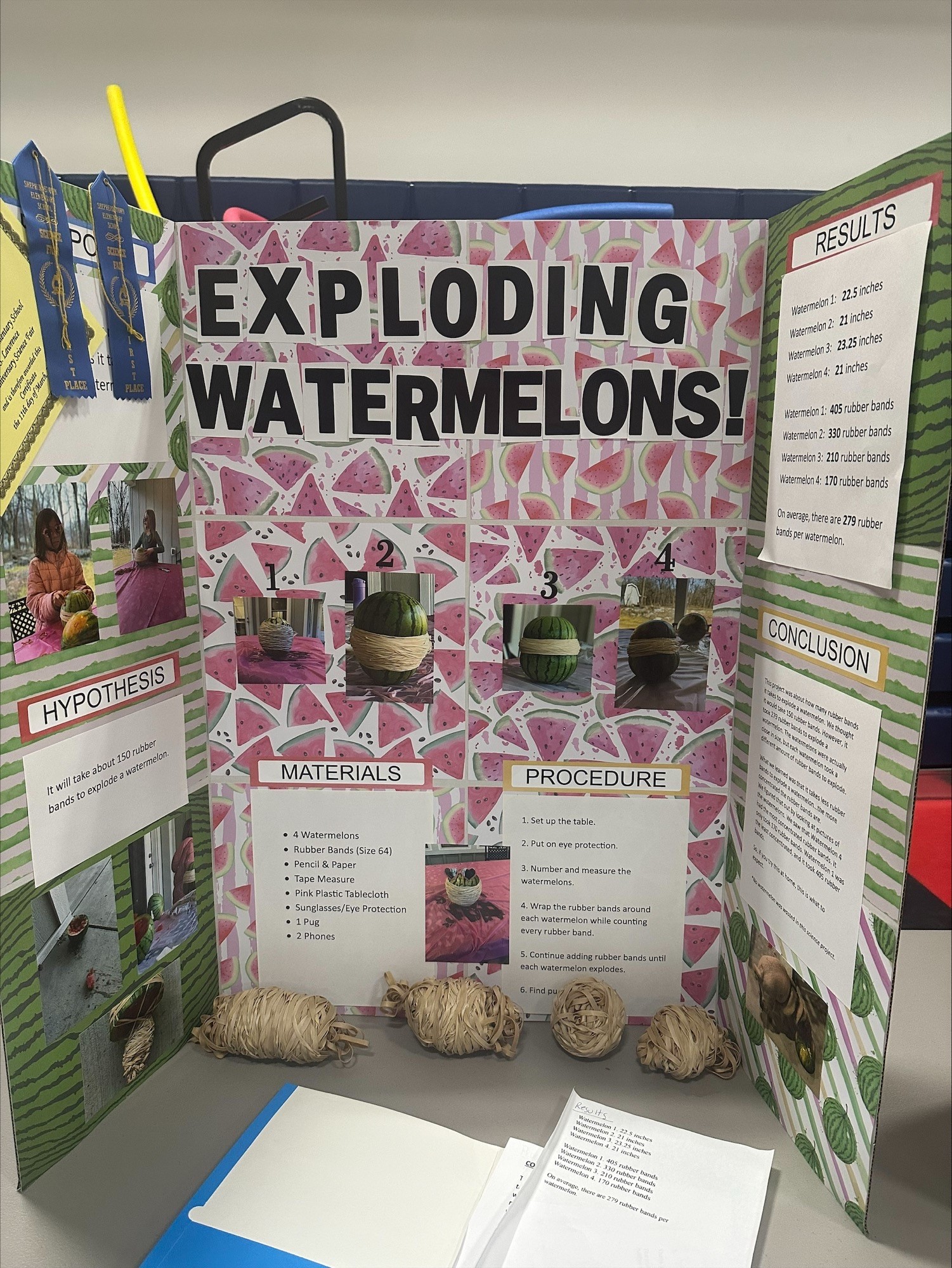 science fair project