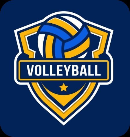 Volleyball image