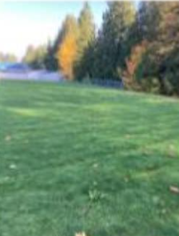 Field after project is complete. Grass is covering slit drains.