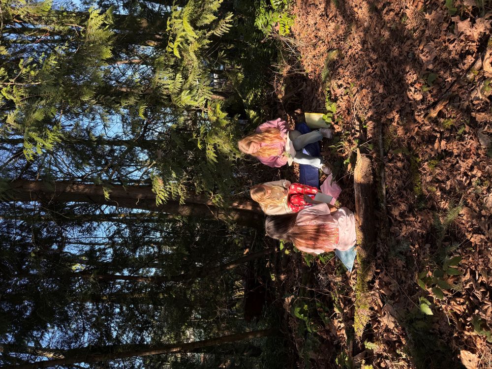 Nature journaling is more fun with friends