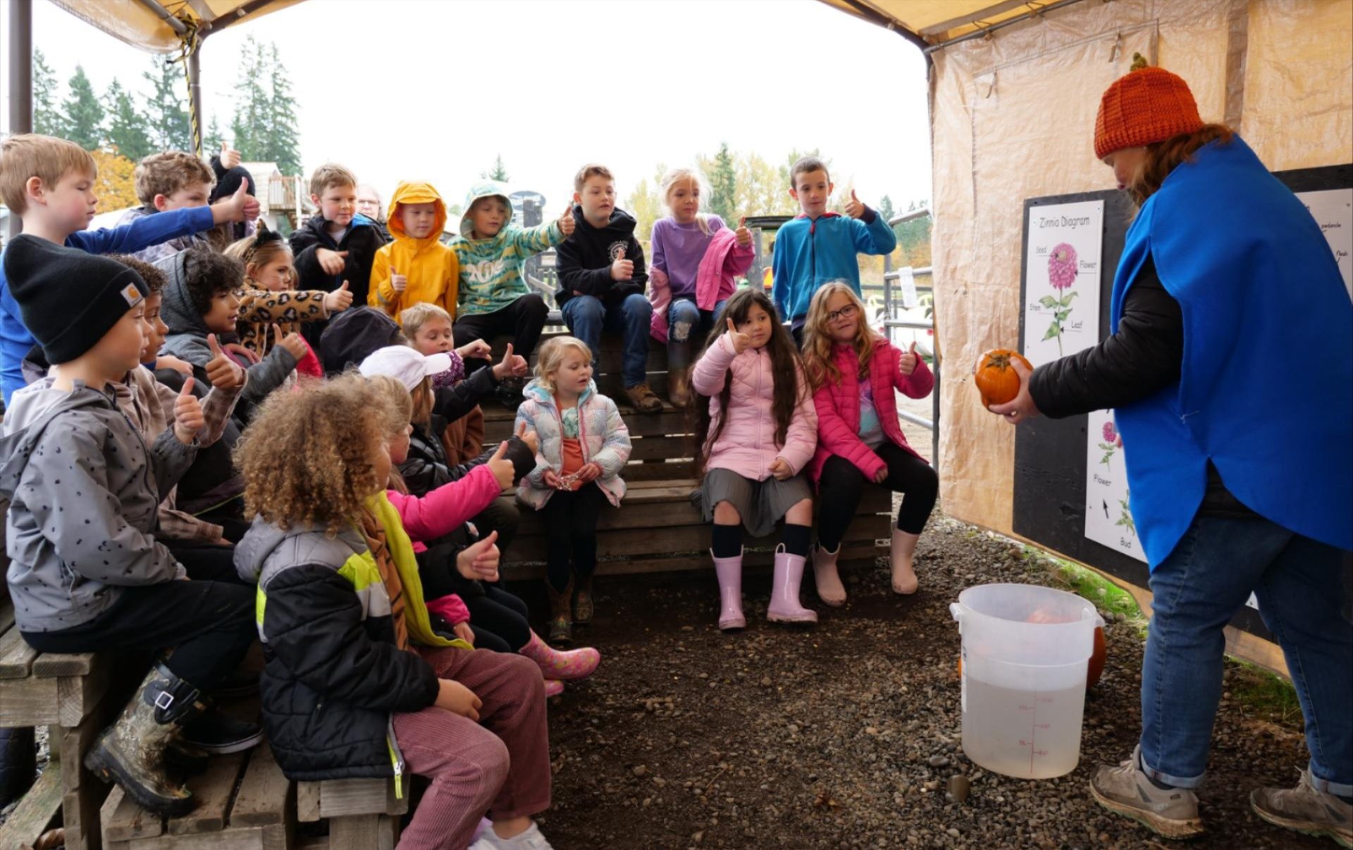 1st grade students learning about pumpkins on their fieldtrip 