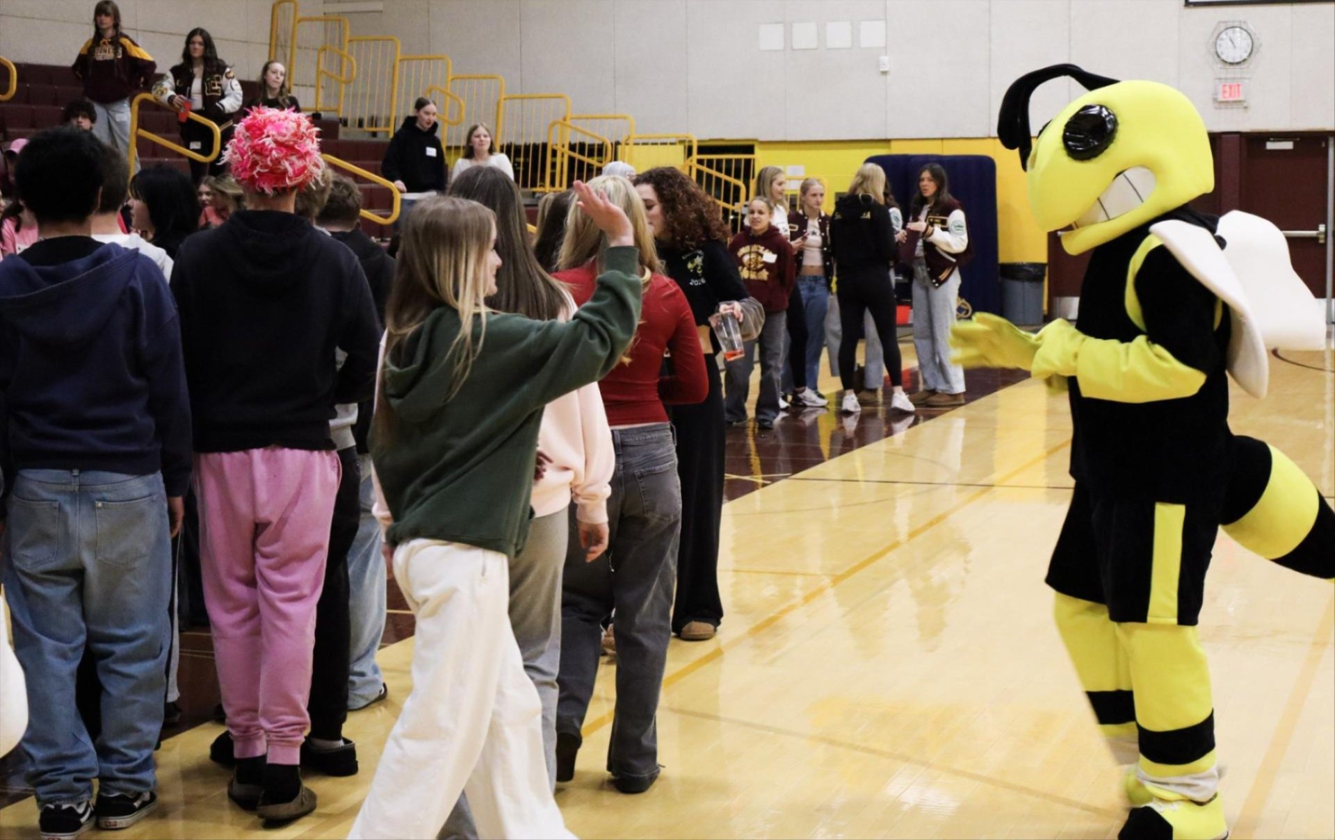 8th grade student at the transition assembly. One student walking up to the hornet mascot to high five with students in the background