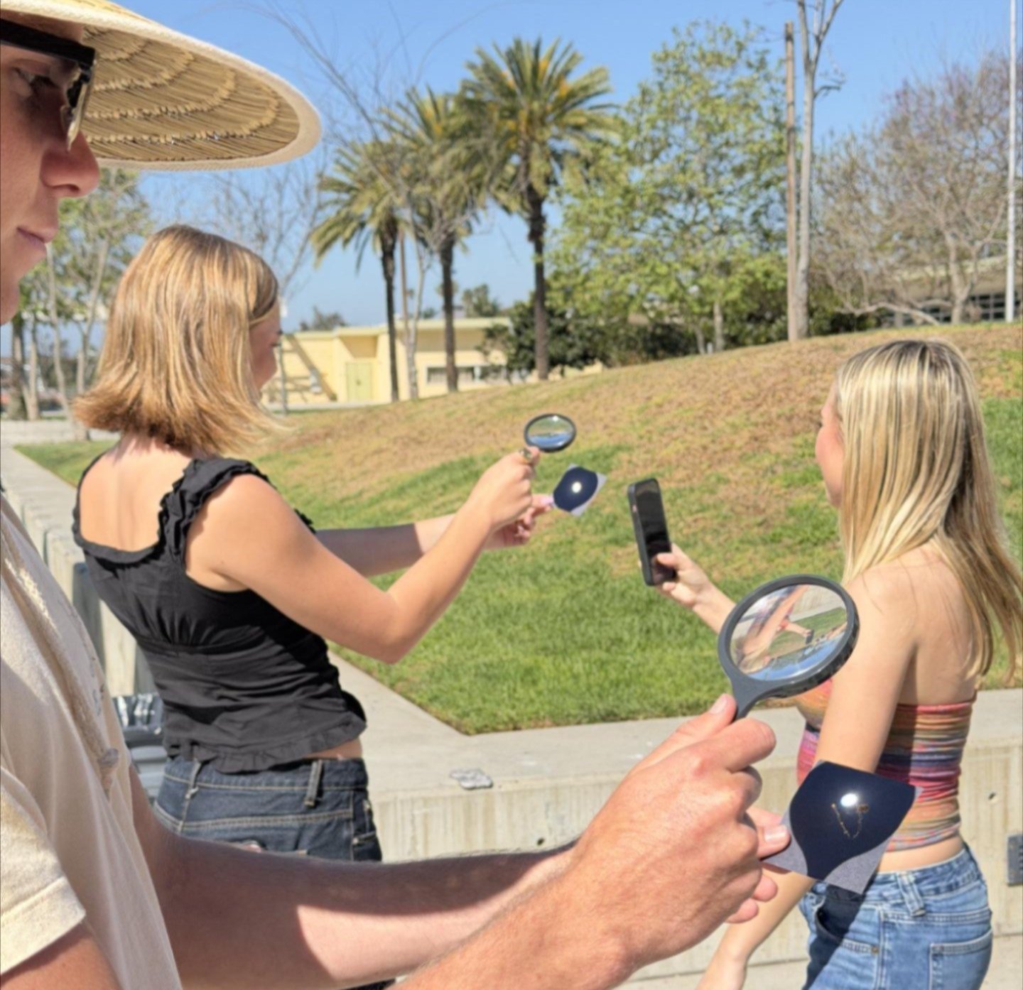 Picture of Sunfest activities