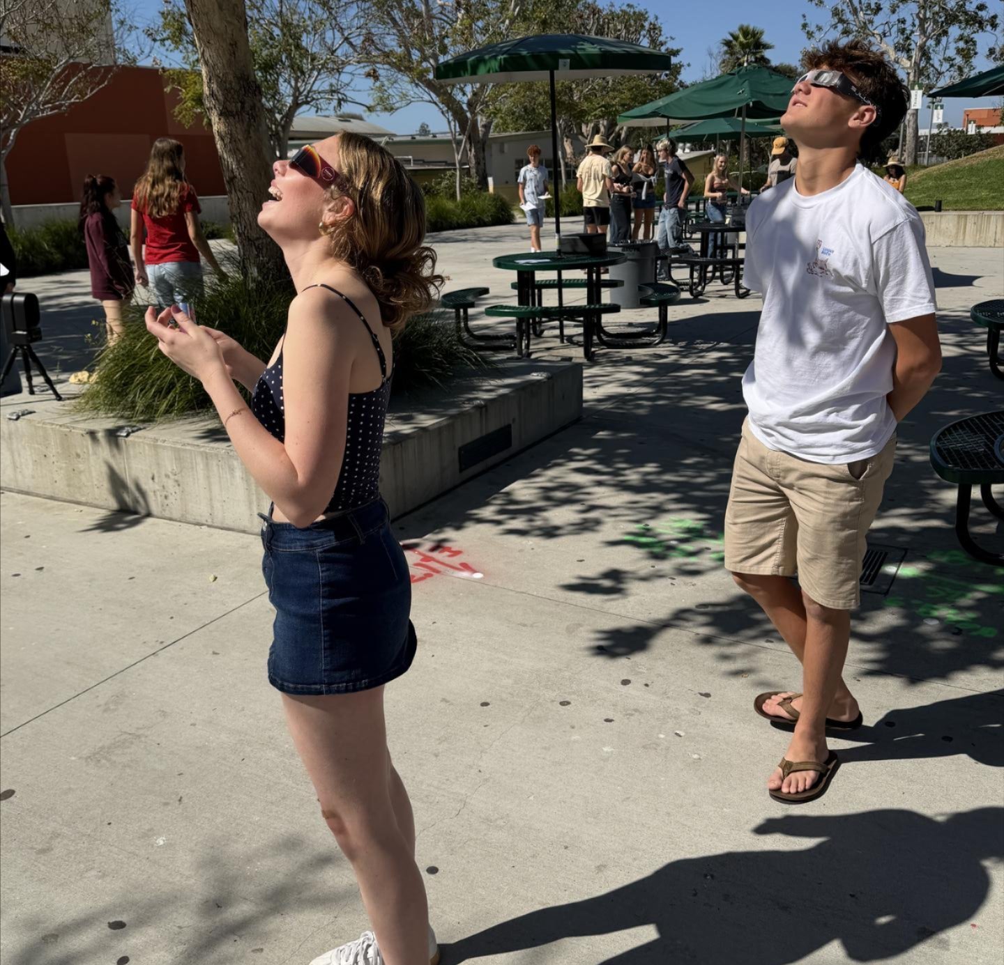 Picture of Sunfest activity