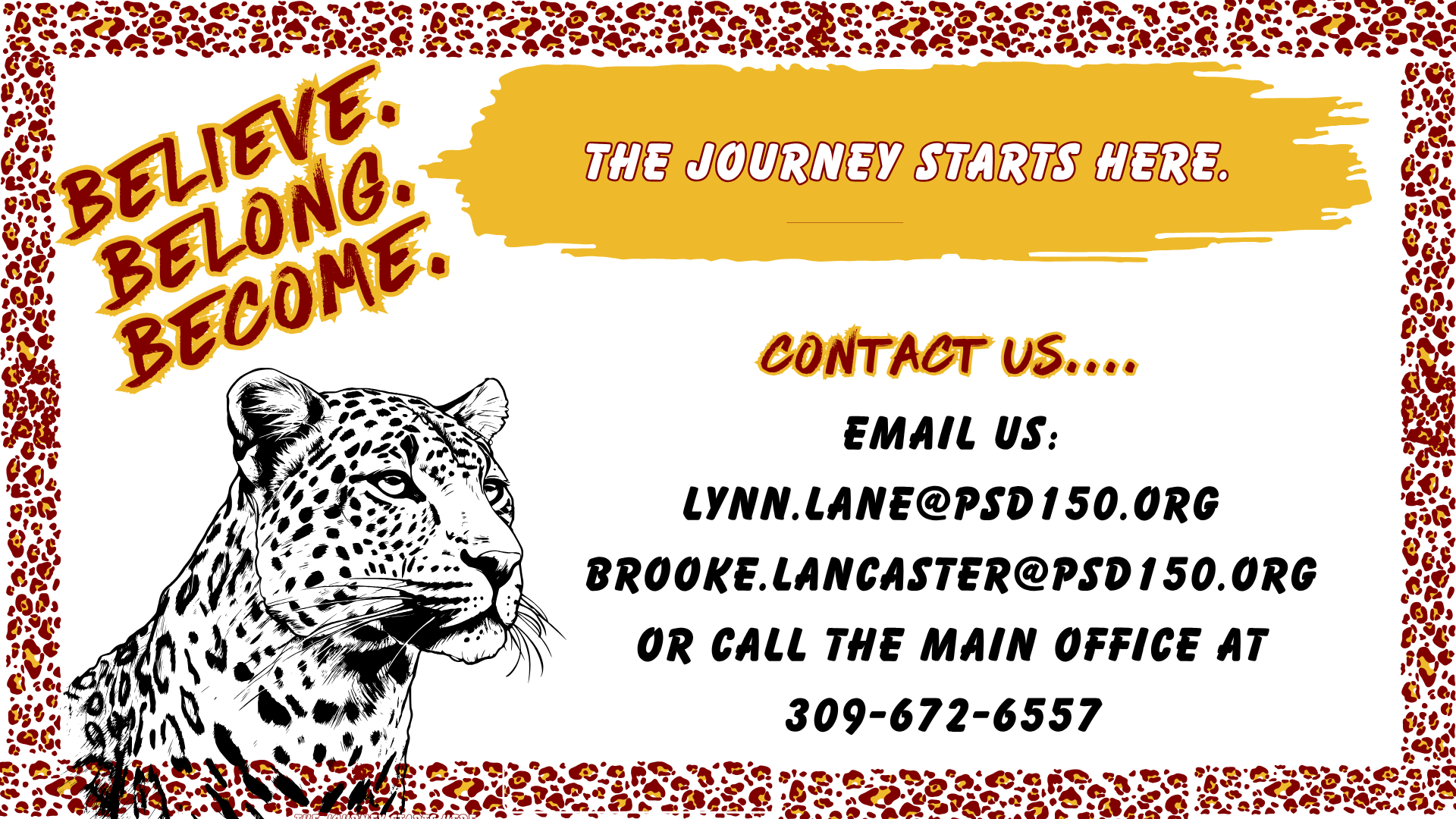 contact us