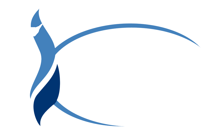 Chesapeake Public Schools. Heron with two blue flames