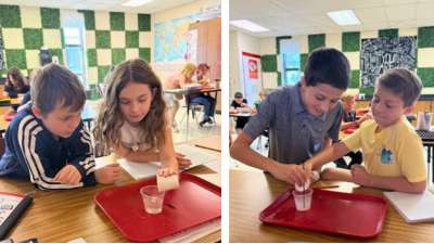 Students work in pairs on science experiment