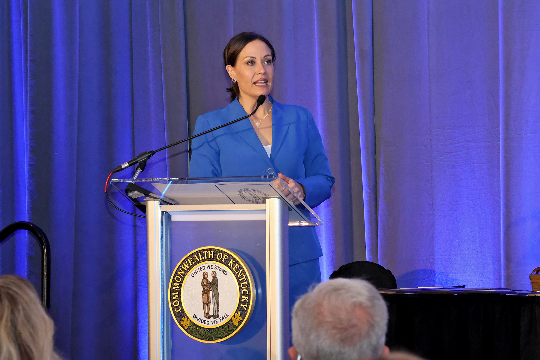 Lt. Governor Jacqueline Coleman