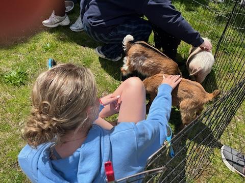 Student Appreciation - Petting Zoo