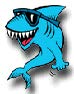 shark wearing sunglasses