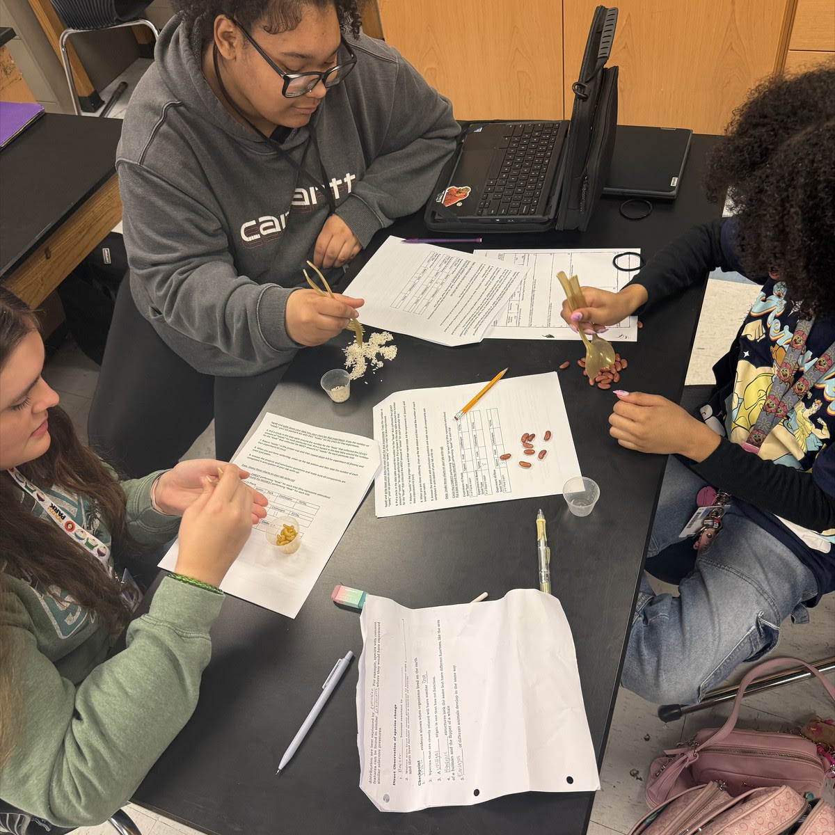 Students in Science class