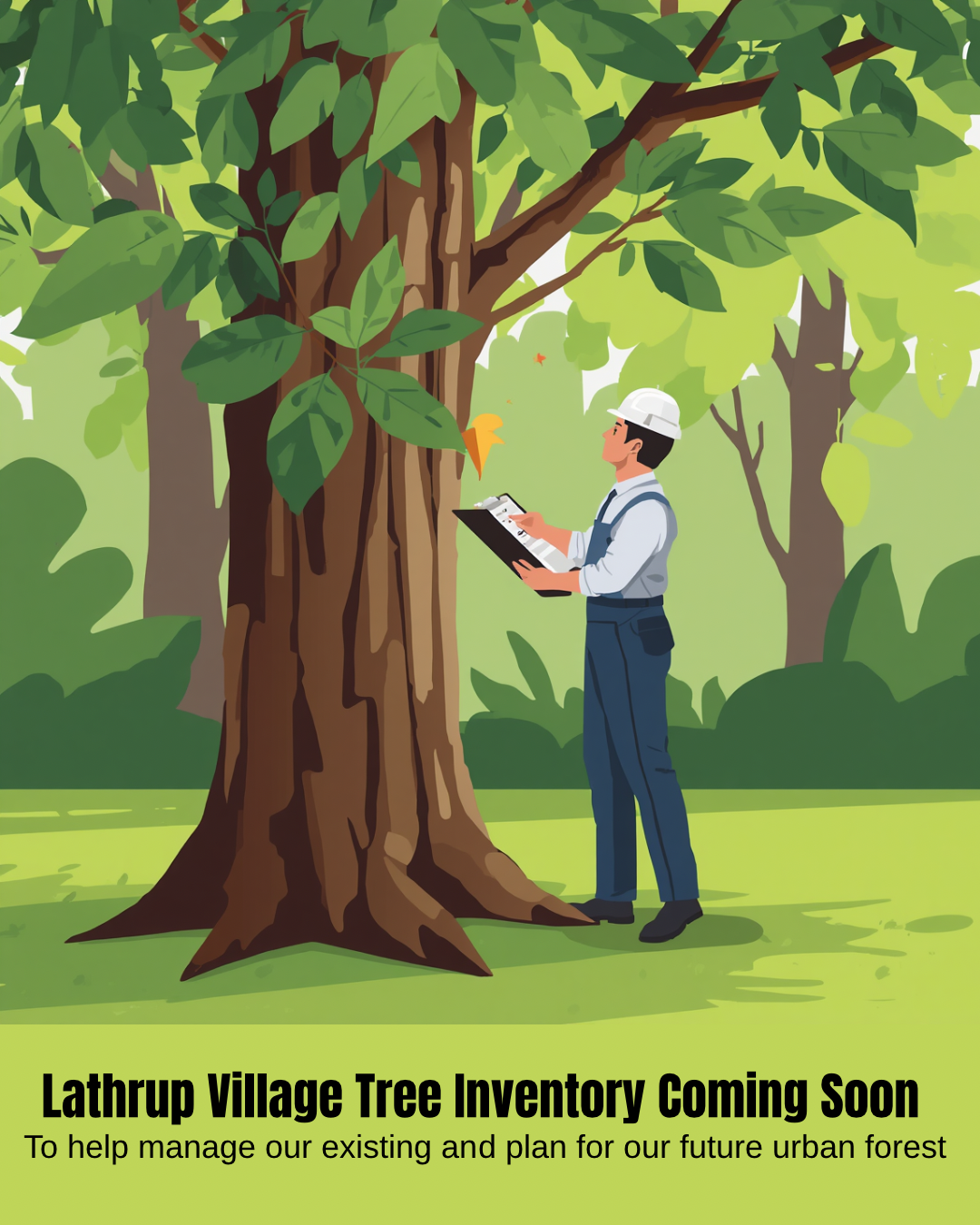 Tree Inventory Flyer