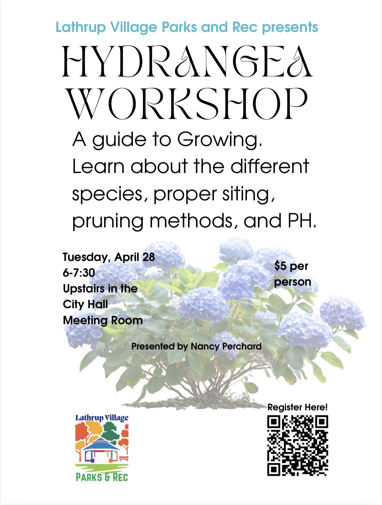 Hydrangea Workshop