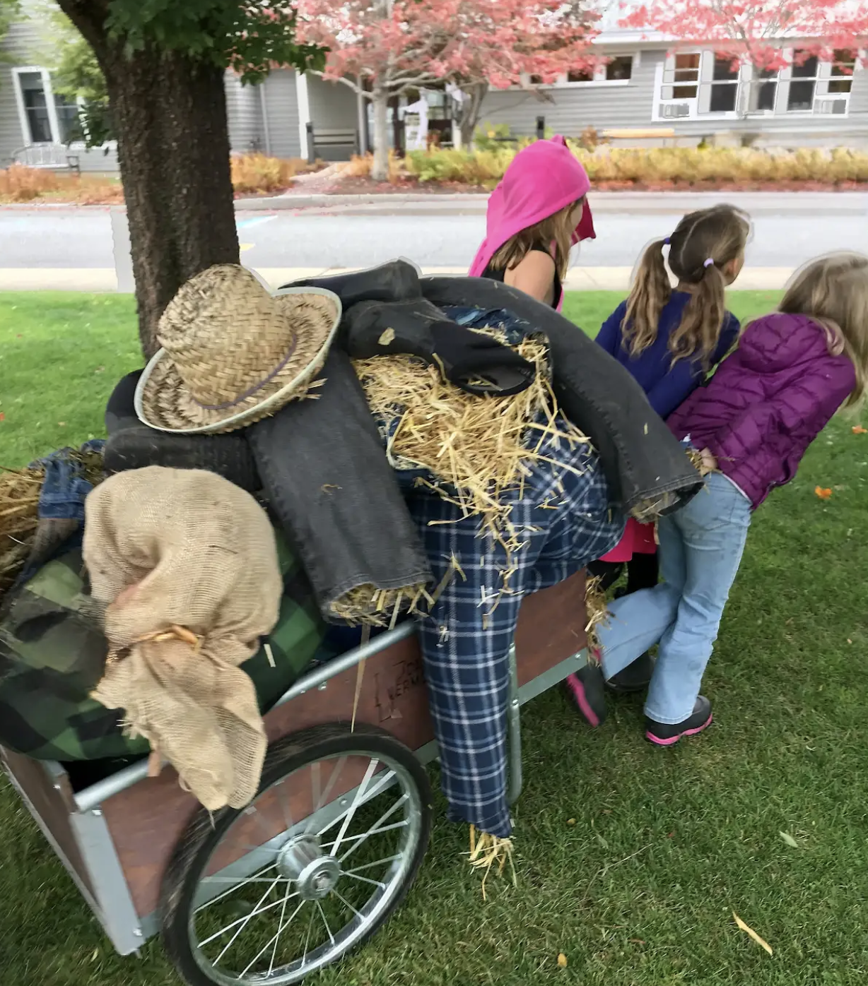 mdesnewsletter