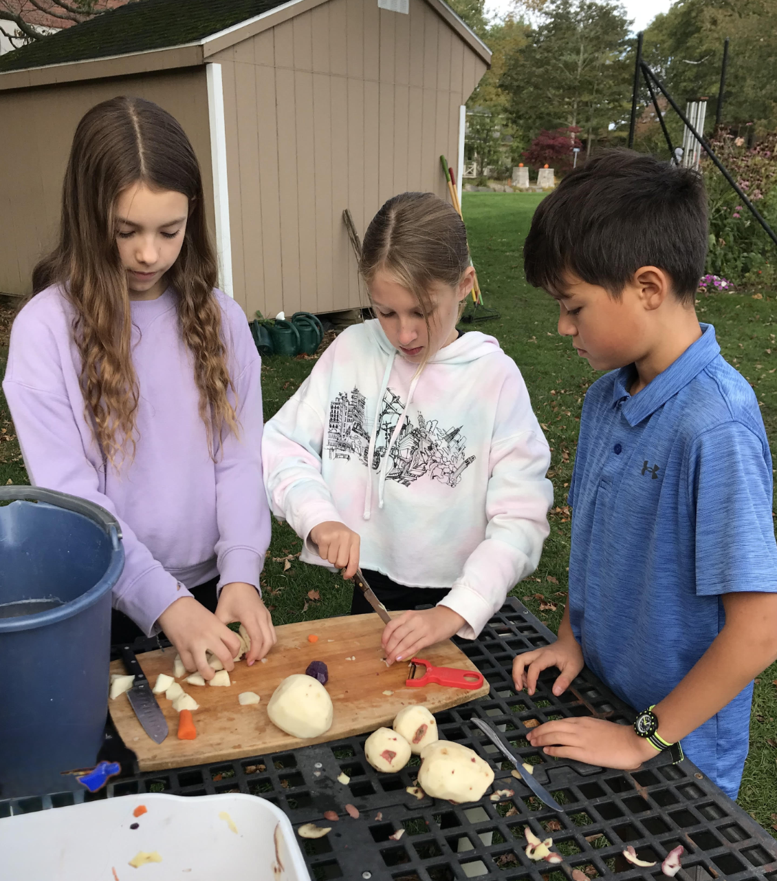 MDES Newsletter