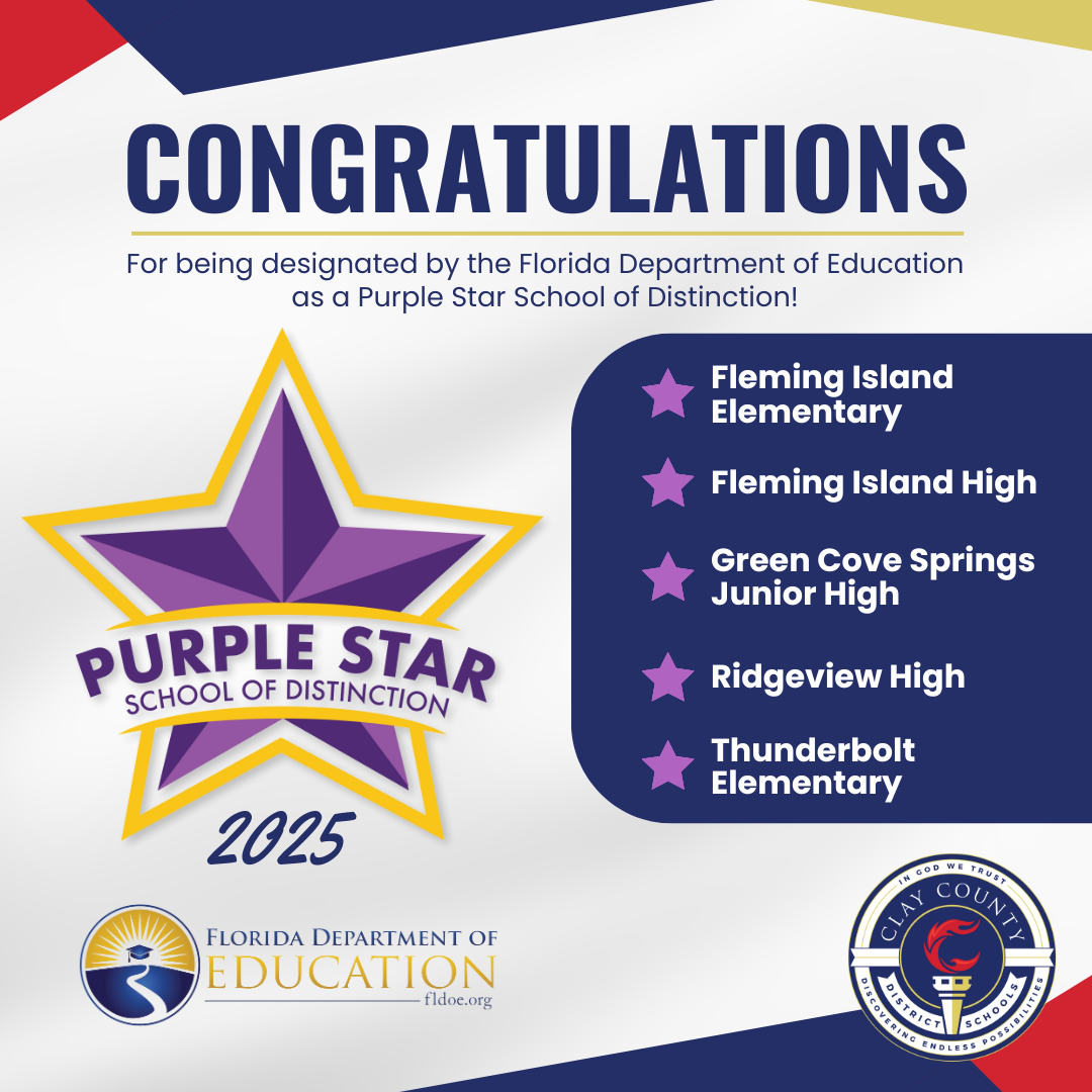 Decorative Graphic congratulating the 2025-2026 FLDOE Schools of Excellence, with the CCDS and FLDOE logos