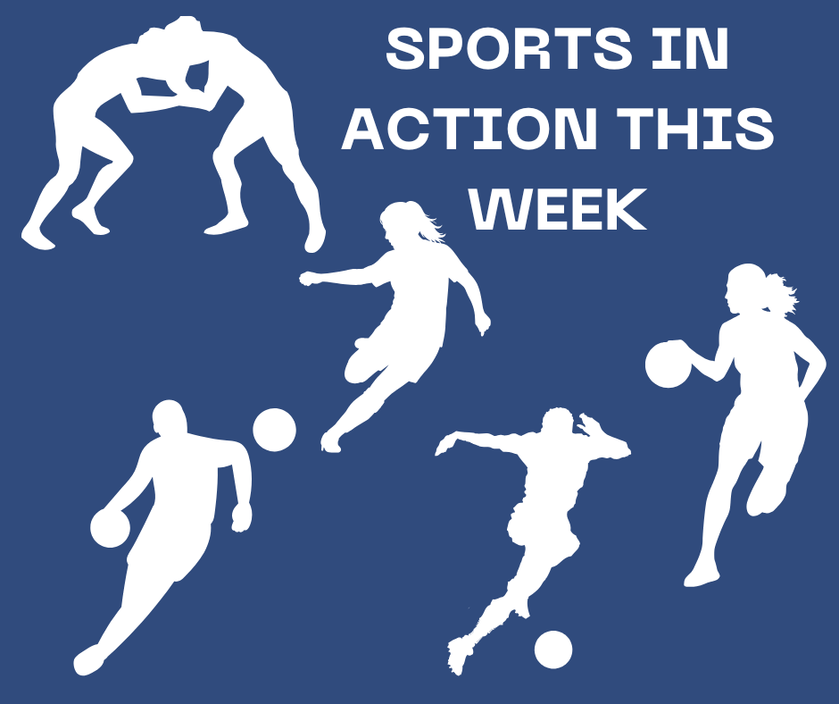 NDHS Sports in Action