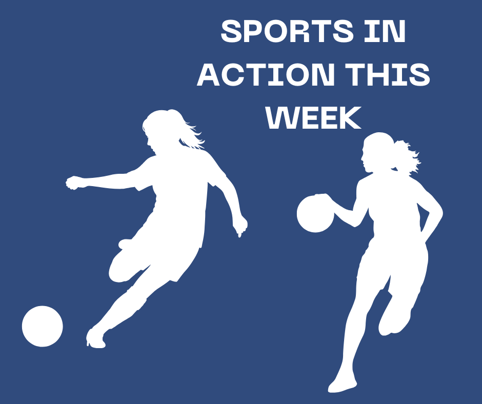 NDHS Sports in Action