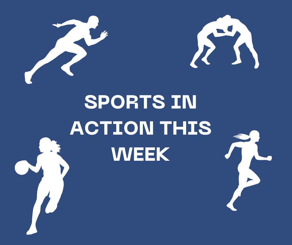 NDHS Sports in Action