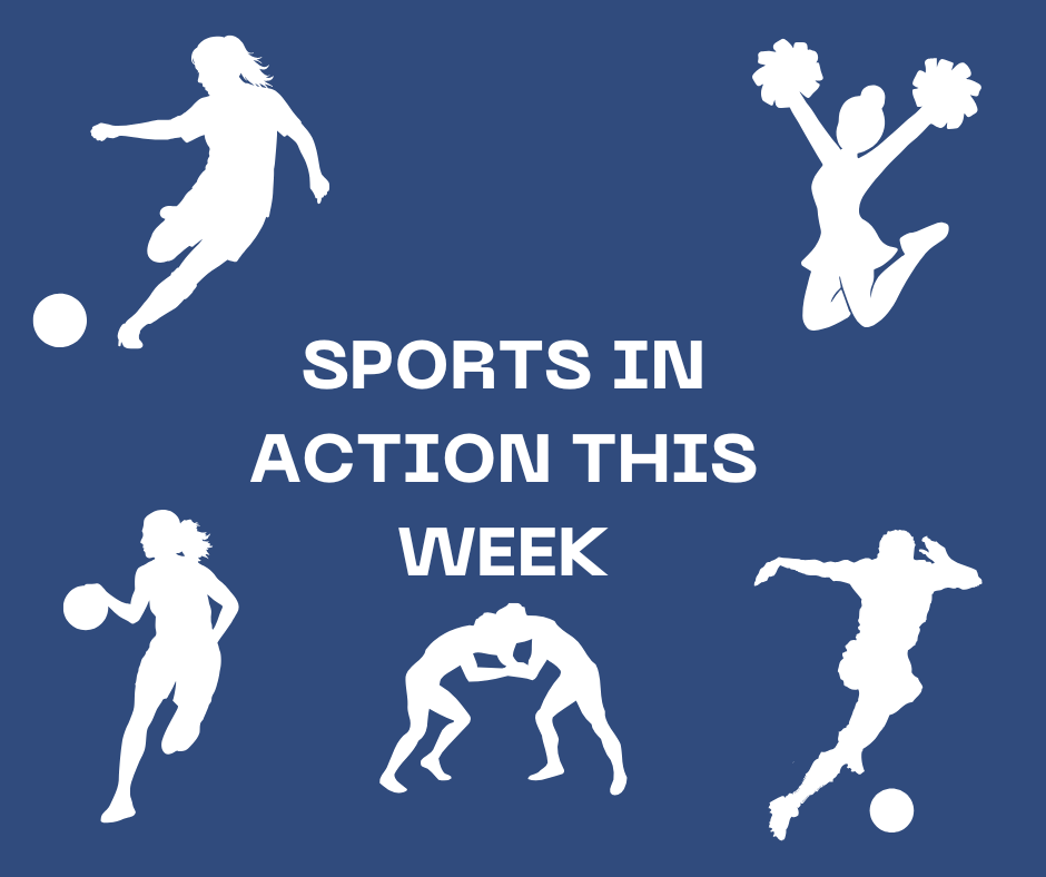NDHS Sports In Action This Week