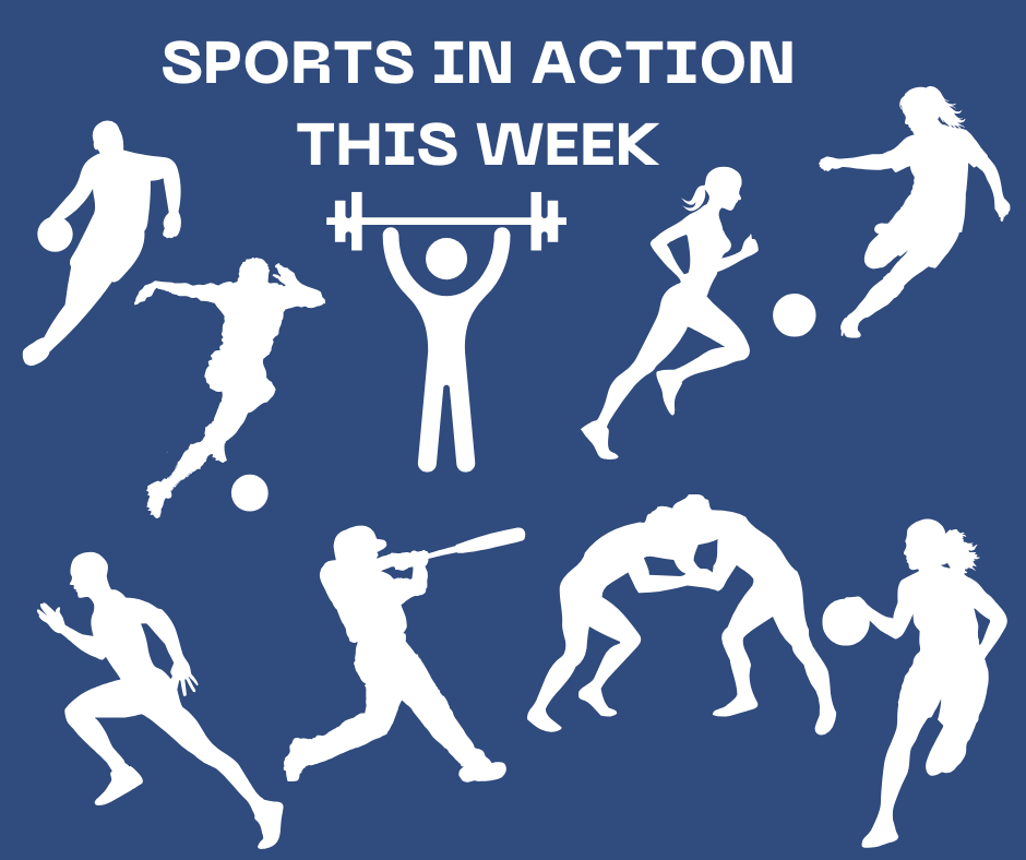 NDHS Sports in Action