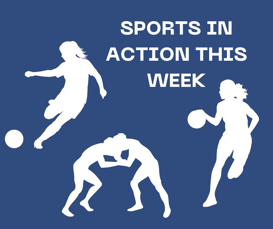 NDHS Sports in Action