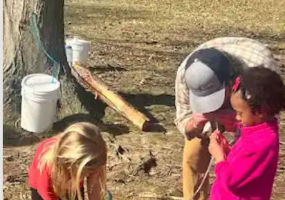 Aaron Stoler helping students lean how to use tree tapping equipment