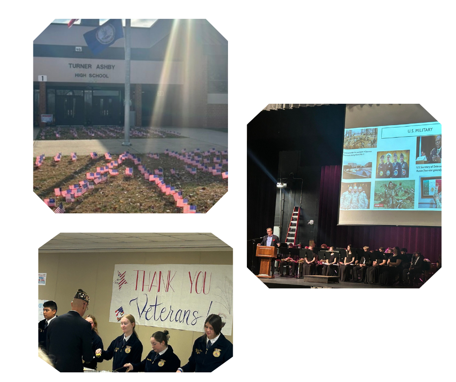 A three-photo collage from a Veterans Day event: small American flags displayed across the lawn in front of Turner Ashby High School, a stage program featuring a speaker at a podium with a U.S. military presentation projected behind him, and students thanking veterans indoors beneath a “Thank You Veterans” banner.
