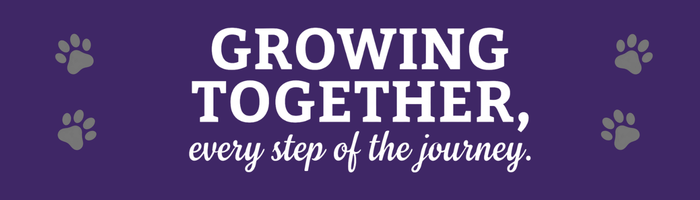 Growing Together, every step of the journey. Quote from the PVES theme for the year.