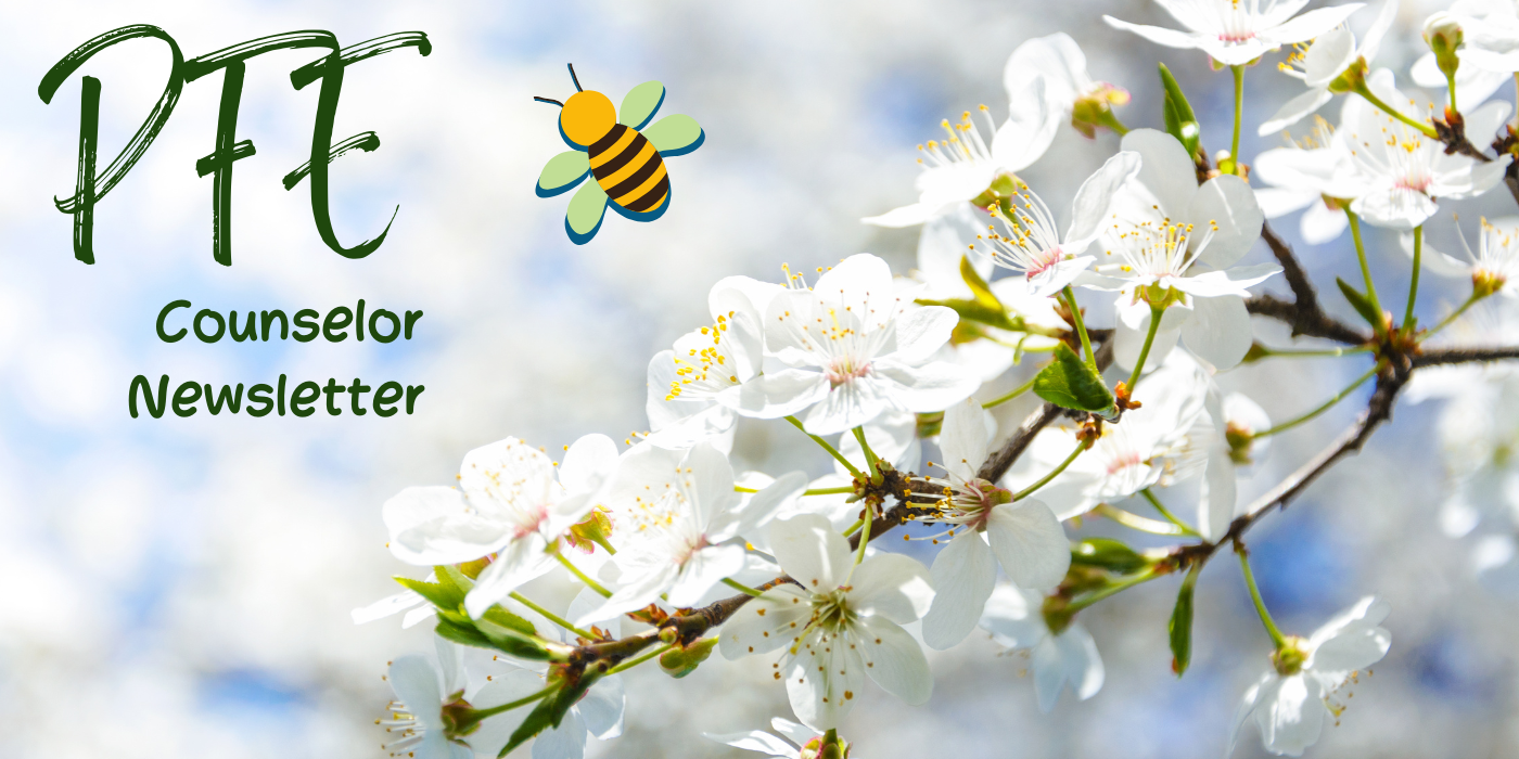 counselor newsletter image