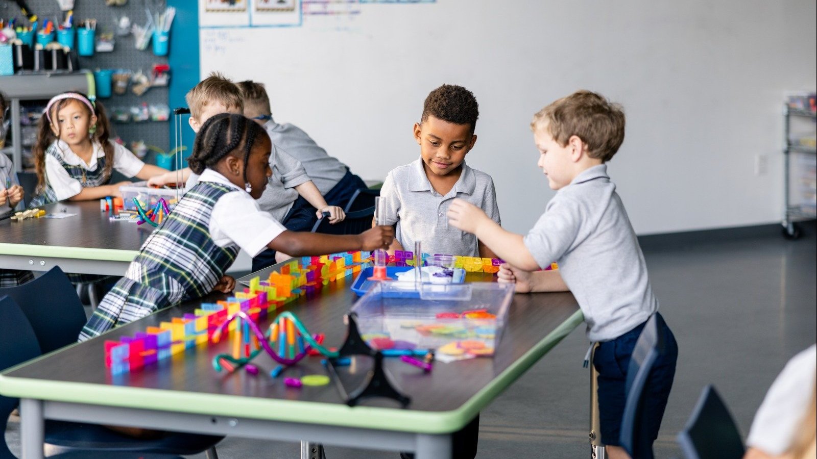 gir at the university