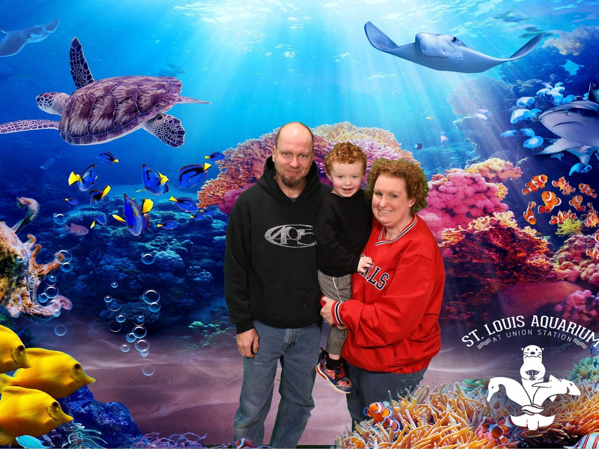 St. louis Aquarium visit