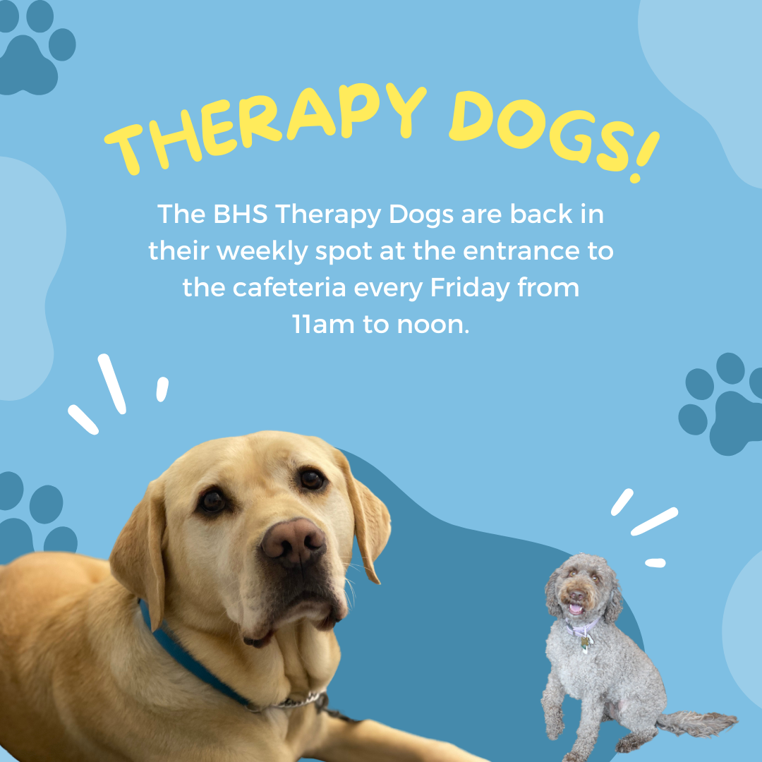 Therapy Dogs