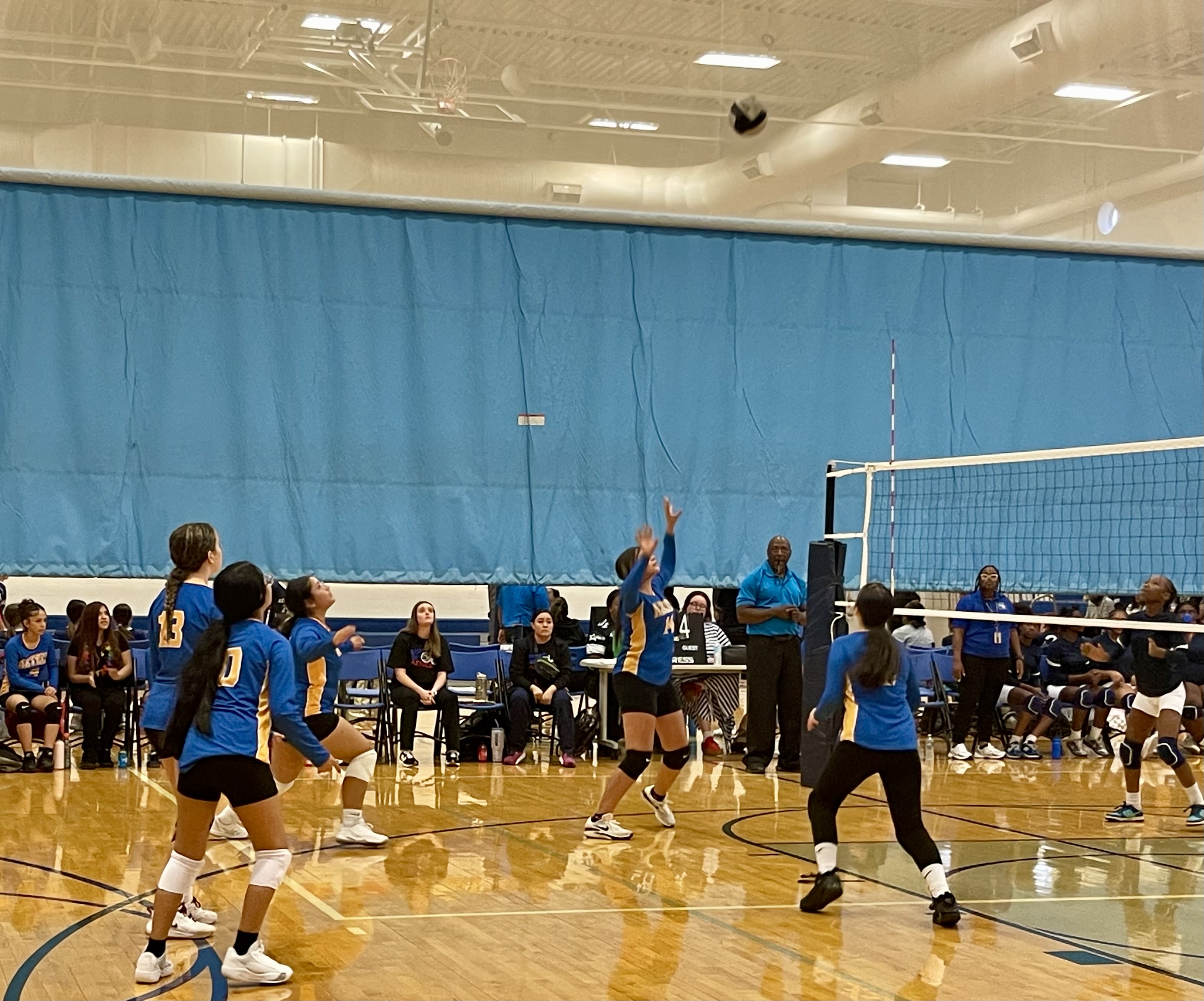 vb