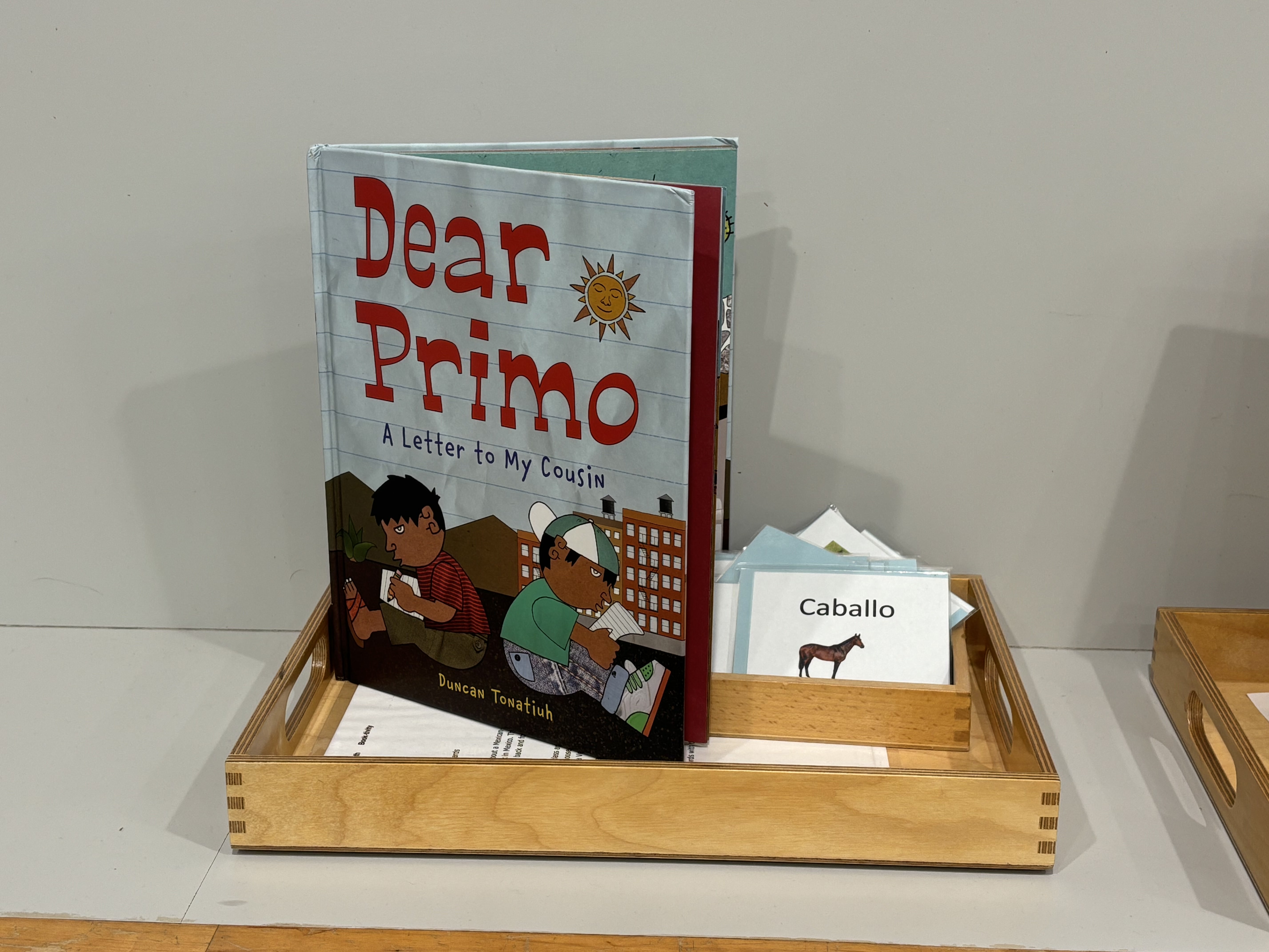 Picture of book and activity