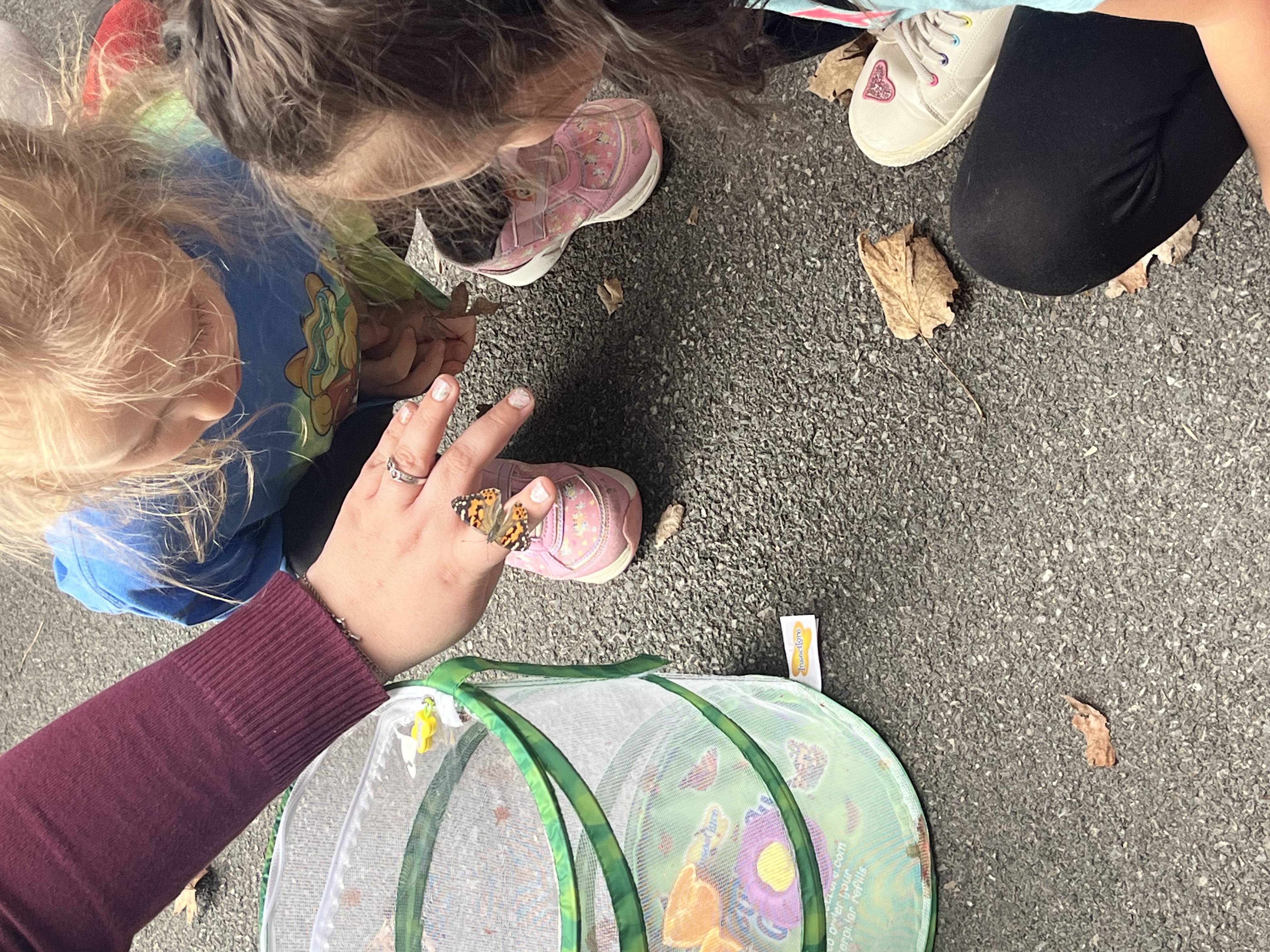 Students looking at butterfly on staff member's hand