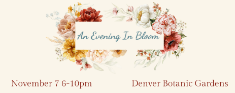 an evening in bloom