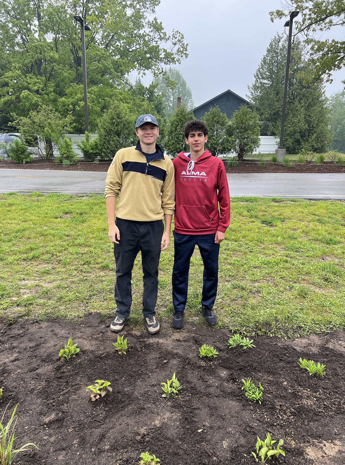 Rain garden