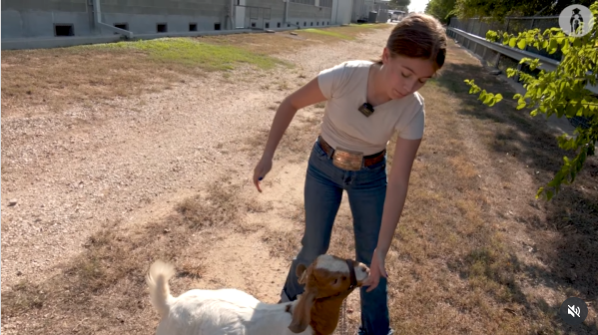 A Day in the Life of a McNeil Ag Student