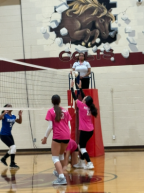 Volleyball Pink Out 3