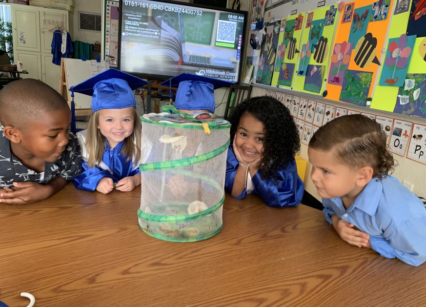 enroll in vpk