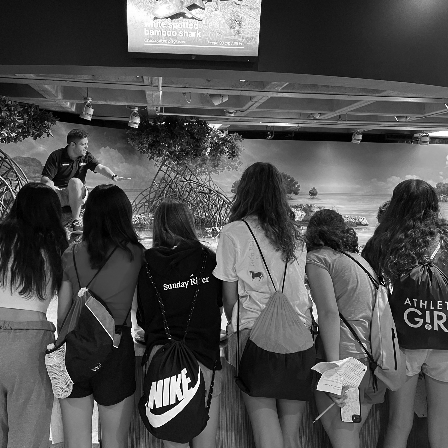 Field Trip