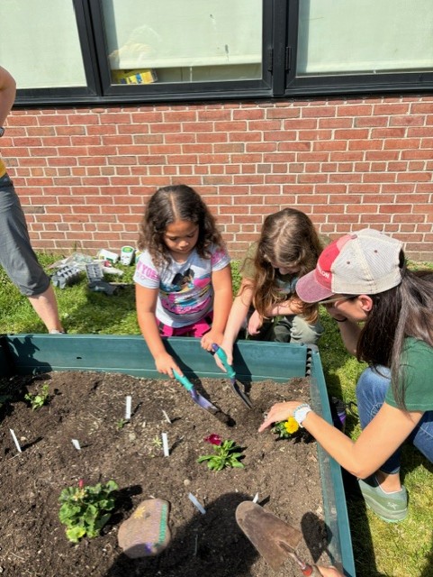 Students planting