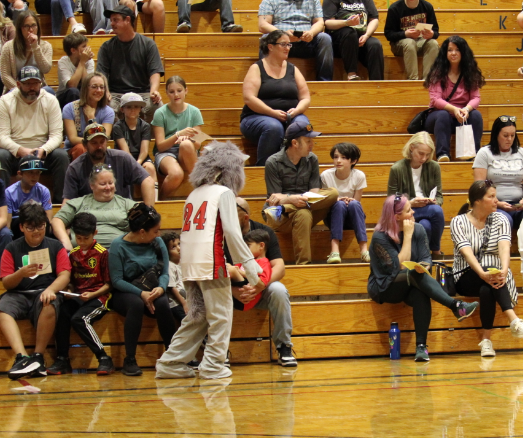 Open House Wolfie Making the Rounds