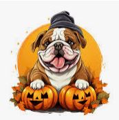 bulldog