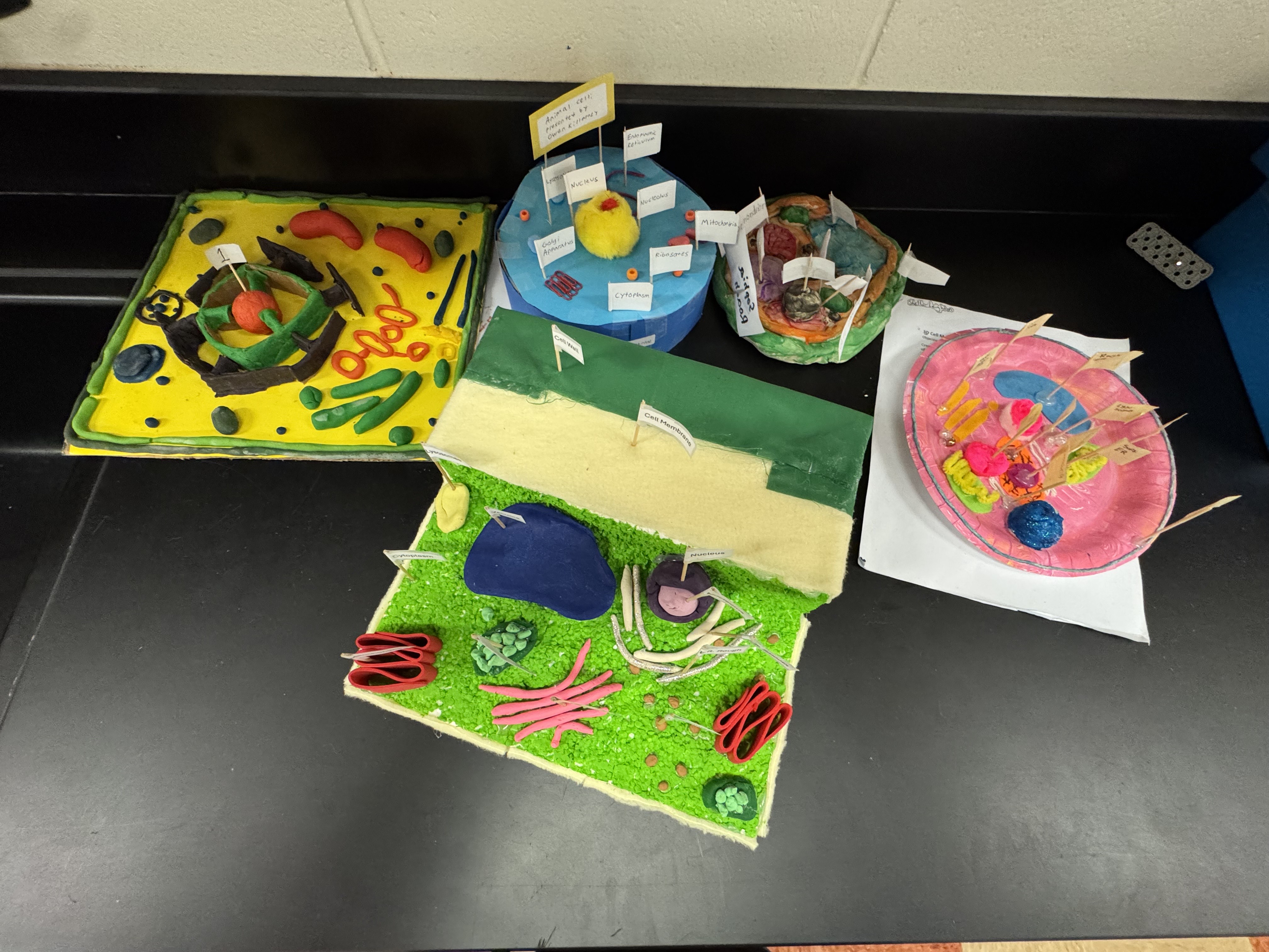 Miss S. Cook - Science